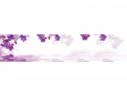 Кухонный фартук глянцевый SP-151