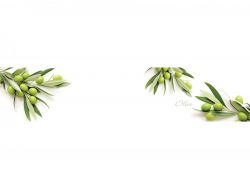 Кухонный фартук глянцевый SP-181