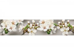 Кухонный фартук глянцевый SP-217