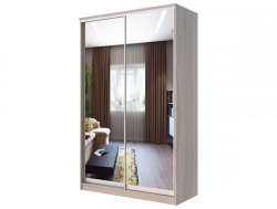 Шкаф-купе Хит 22-14-55