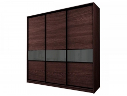 Шкаф-купе Max МШ-25-6-24/2-999 пленка темно-серая