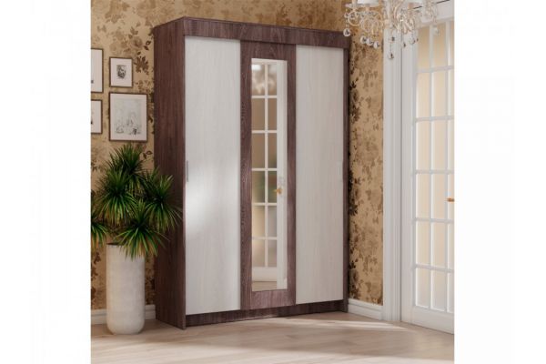 Шкаф-купе Мираж 11