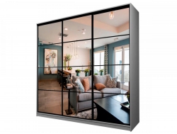 Шкаф-купе Max МШ-23-6-27/2-555