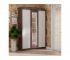 Шкаф-купе Мираж 11